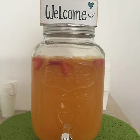 بيت شباب Eco Ljmonade