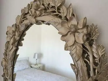 Eco Ljmonade * كاسكايس