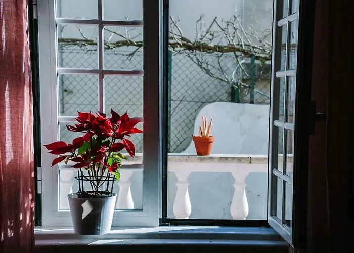 Vandrerhjem Eco Ljmonade